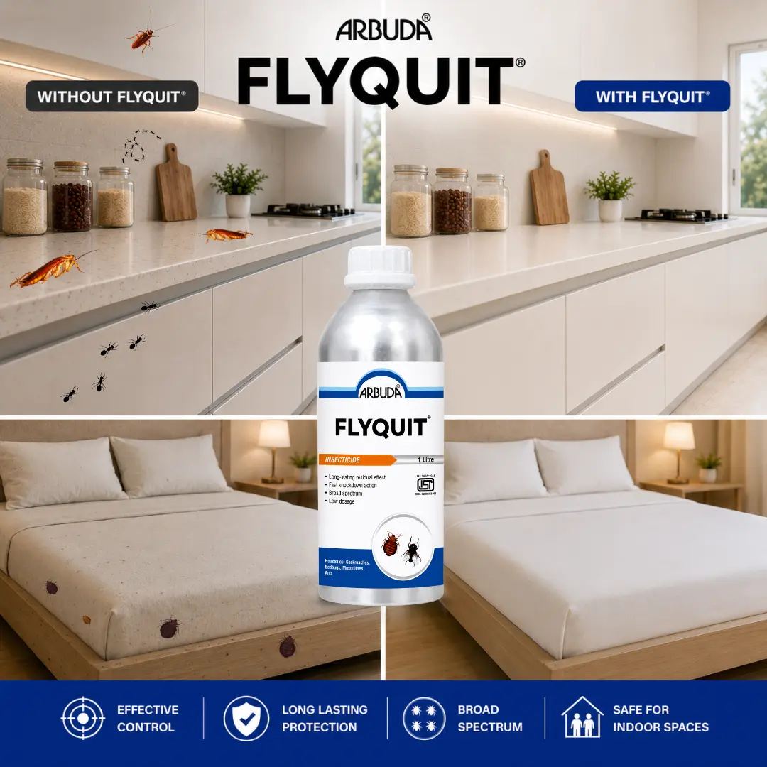 Arbuda Flyquit photo 4