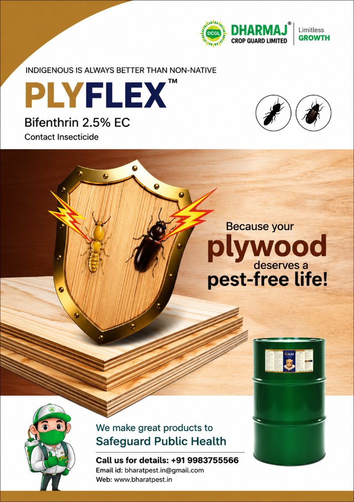 Plywood and handicraft